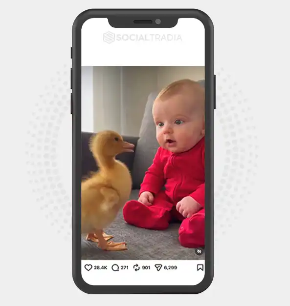 Instagram account Big Little Laughs (212k Followers)