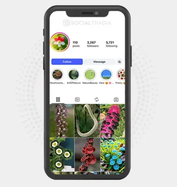 Instagram account Blooming Earth (3.2k Followers)