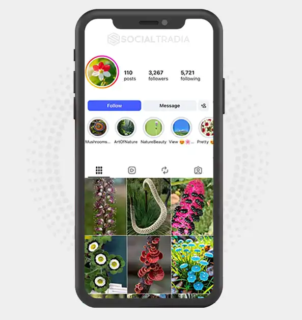 Instagram account Blooming Earth (3.2k Followers)