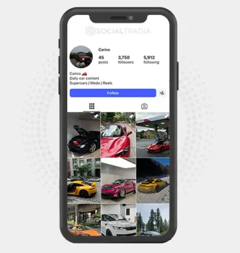 Instagram account cariivoo (3.7k Followers)