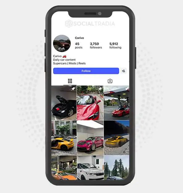 Instagram account cariivoo (3.7k Followers)