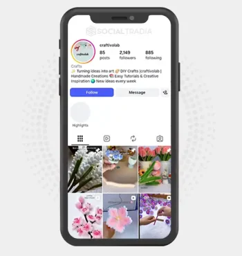 Instagram account craftivolab (2.1k Followers)