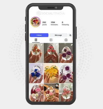 Instagram account Creative Touch (170k Followers)