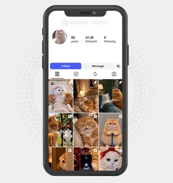 Instagram account CuteAICats (47.3k Followers)
