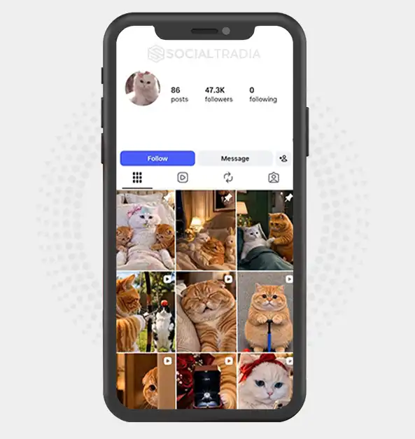 Instagram account CuteAICats (47.3k Followers)