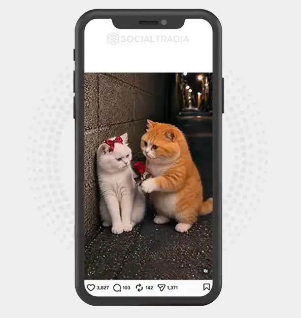 Instagram account CuteAICats (47.3k Followers)