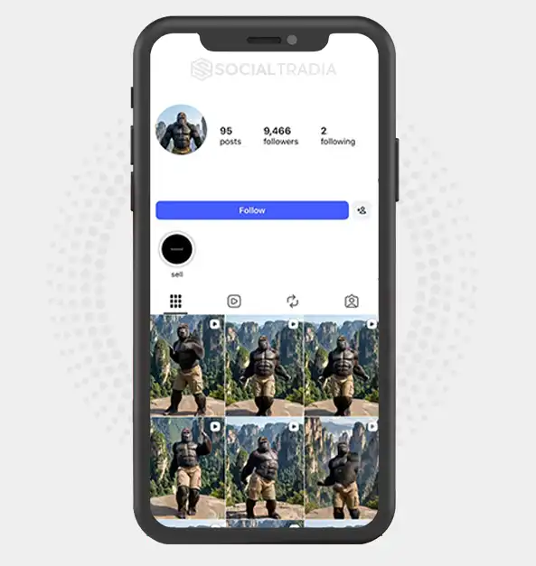Instagram account Dancing Beasts (9.5k Followers)