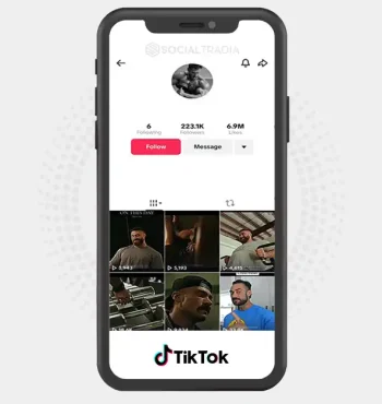 TikTok account Fitness King (223k Followers)