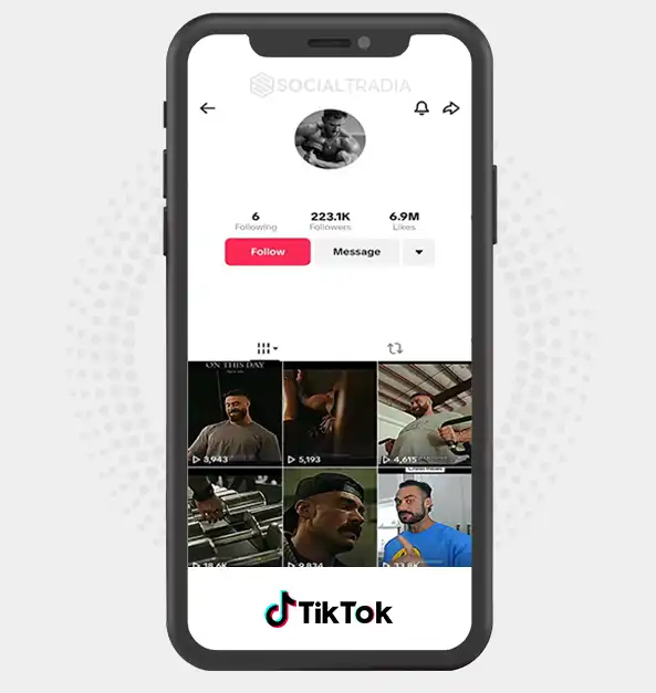 TikTok account Fitness King (223k Followers)