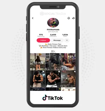 TikTok account fitvibehubb (2.6k Followers)