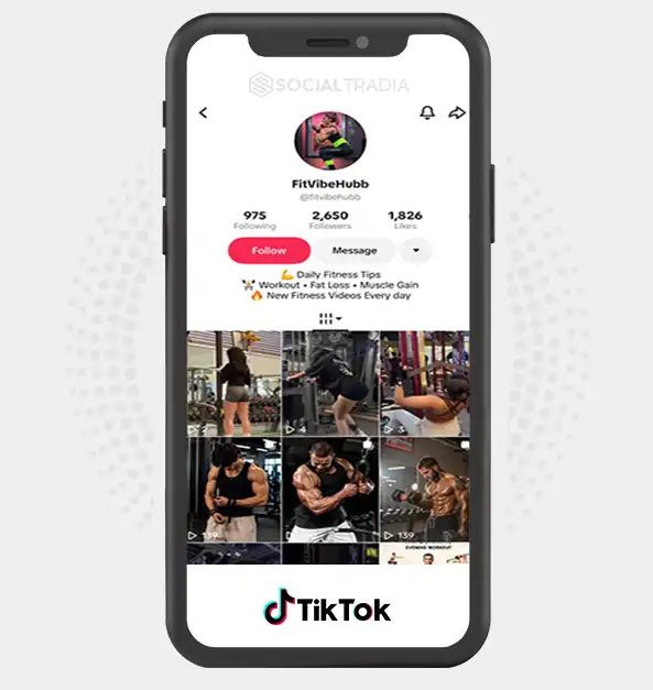 TikTok account fitvibehubb (2.6k Followers)