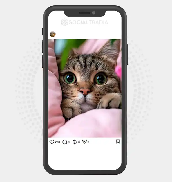 Instagram account FluffyPaws (2.2k Followers)