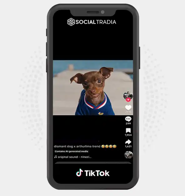 TikTok account Future Frames (389.4k Followers)