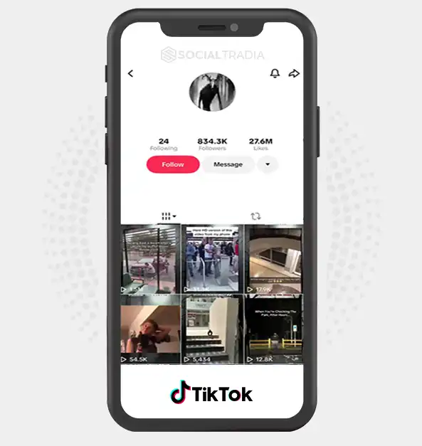 TikTok account Horror Vault (834.3k Followers)