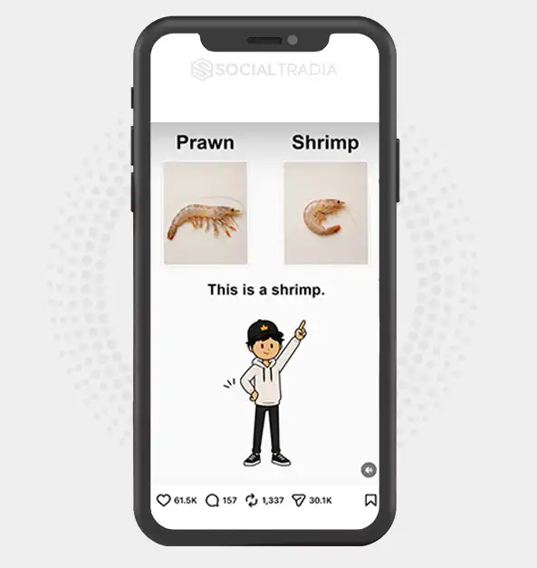 Instagram account Learn In Seconds (90.3k Followers)