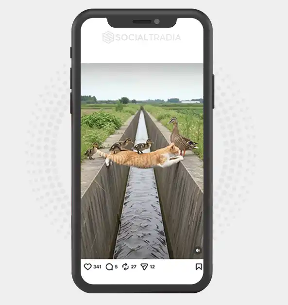 Instagram account Little Paw Stories (7.5k Followers)