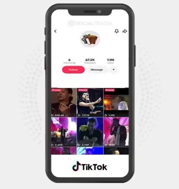 TikTok account Lost In Music (67.2k Followers)