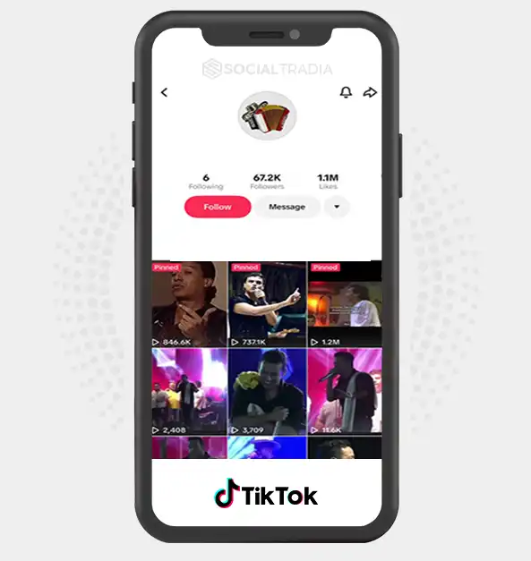 TikTok account Lost In Music (67.2k Followers)