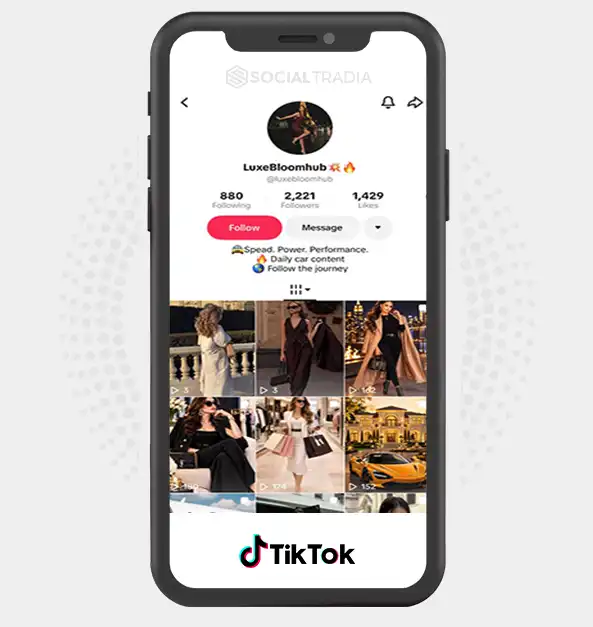 TikTok account luxebloomhub (2.2k Followers)