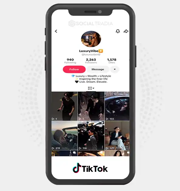 TikTok account luxuryvibe42 (2.2k Followers)