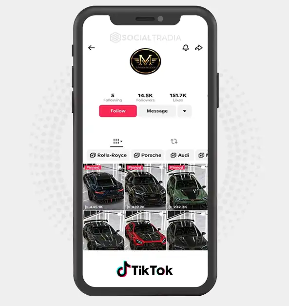 TikTok account MansoryHype (14.5k Followers)
