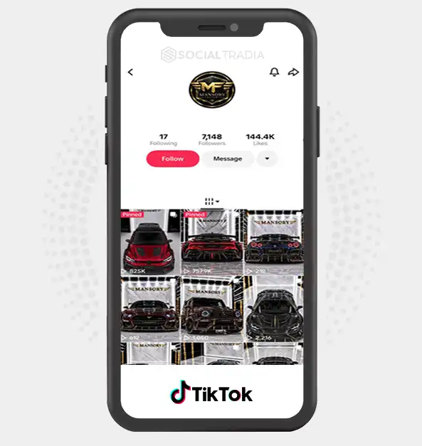 TikTok account MansoryVault (8k Followers)