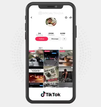TikTok account Meme Society (293k Followers)