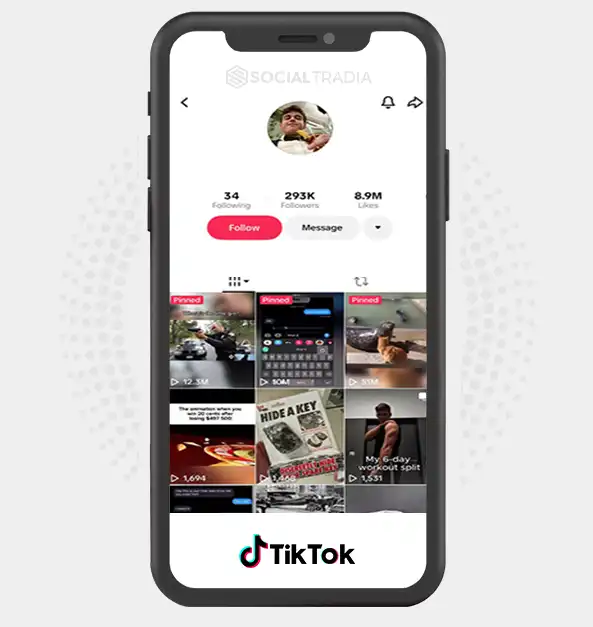 TikTok account Meme Society (293k Followers)