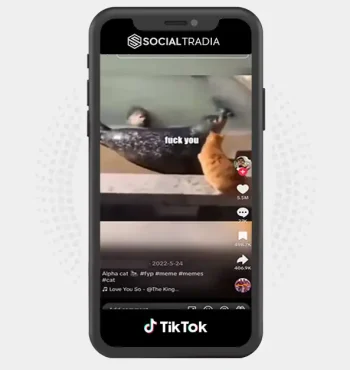 TikTok account Meme Society (293k Followers)