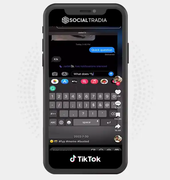 TikTok account Meme Society (293k Followers)