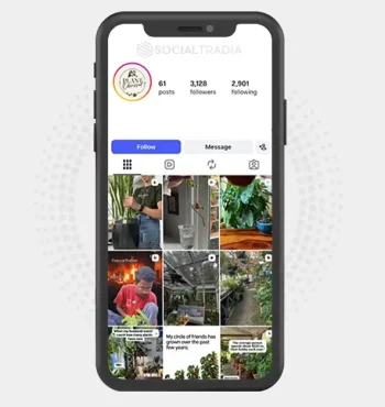 Instagram account Plant Obsession (3.1k Followers)