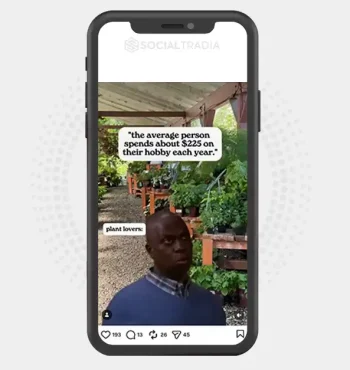 Instagram account Plant Obsession (3.1k Followers)
