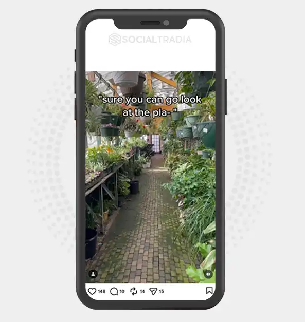 Instagram account Plant Obsession (3.1k Followers)