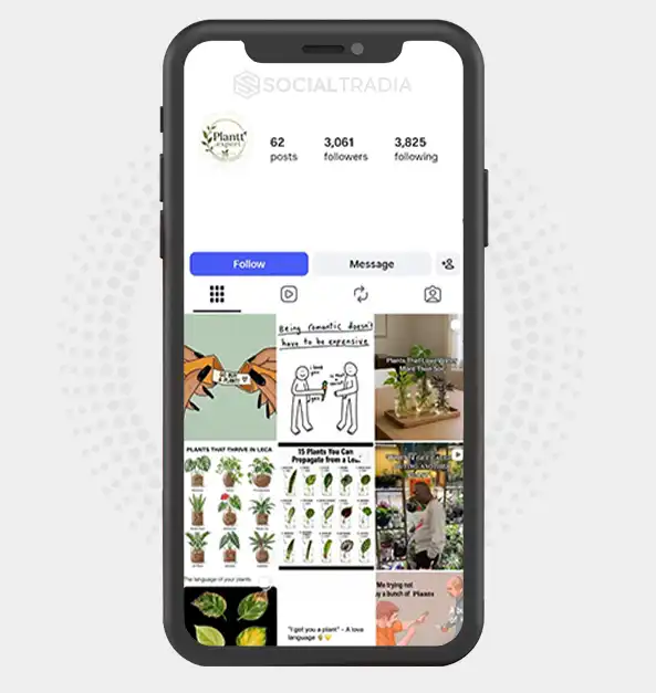 Instagram account PlantCare (3.1k Followers)