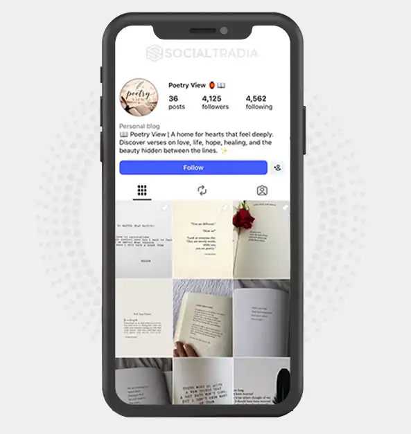 Instagram account poetryyview (4.1k Followers)
