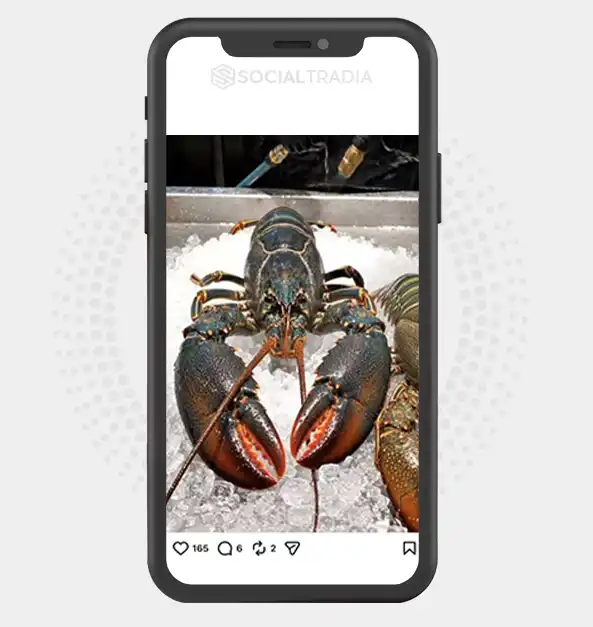 Instagram account RealFlavour (4.3k Followers)