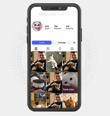 Instagram account TheCatCorner (74.9k Followers)