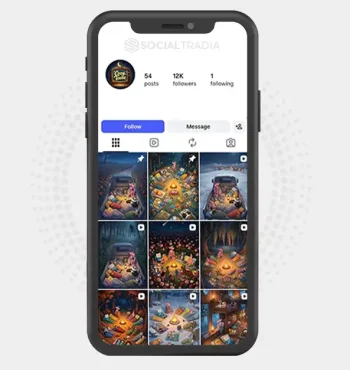 Instagram account Toon Dreams (12k Followers)