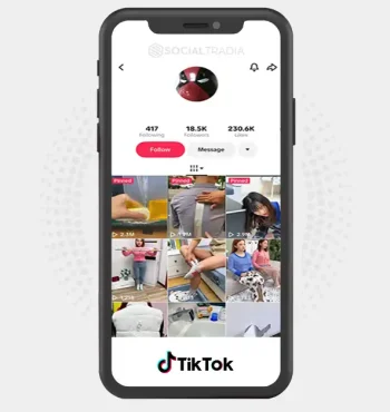 TikTok account Trending Finds (18.5k Followers)
