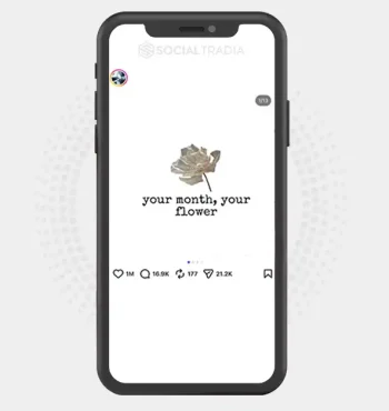 Instagram account Ultimate Anime Edits (91.9k Followers)