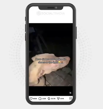 Instagram account ViralFunnyVidz (29.5k Followers)